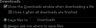 Options related to downloads in Firefox 17