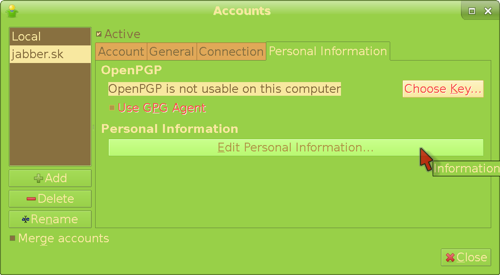 Personal Information tab of the Accounts menu in Gajim