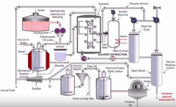 Industrial seed oil extraction process